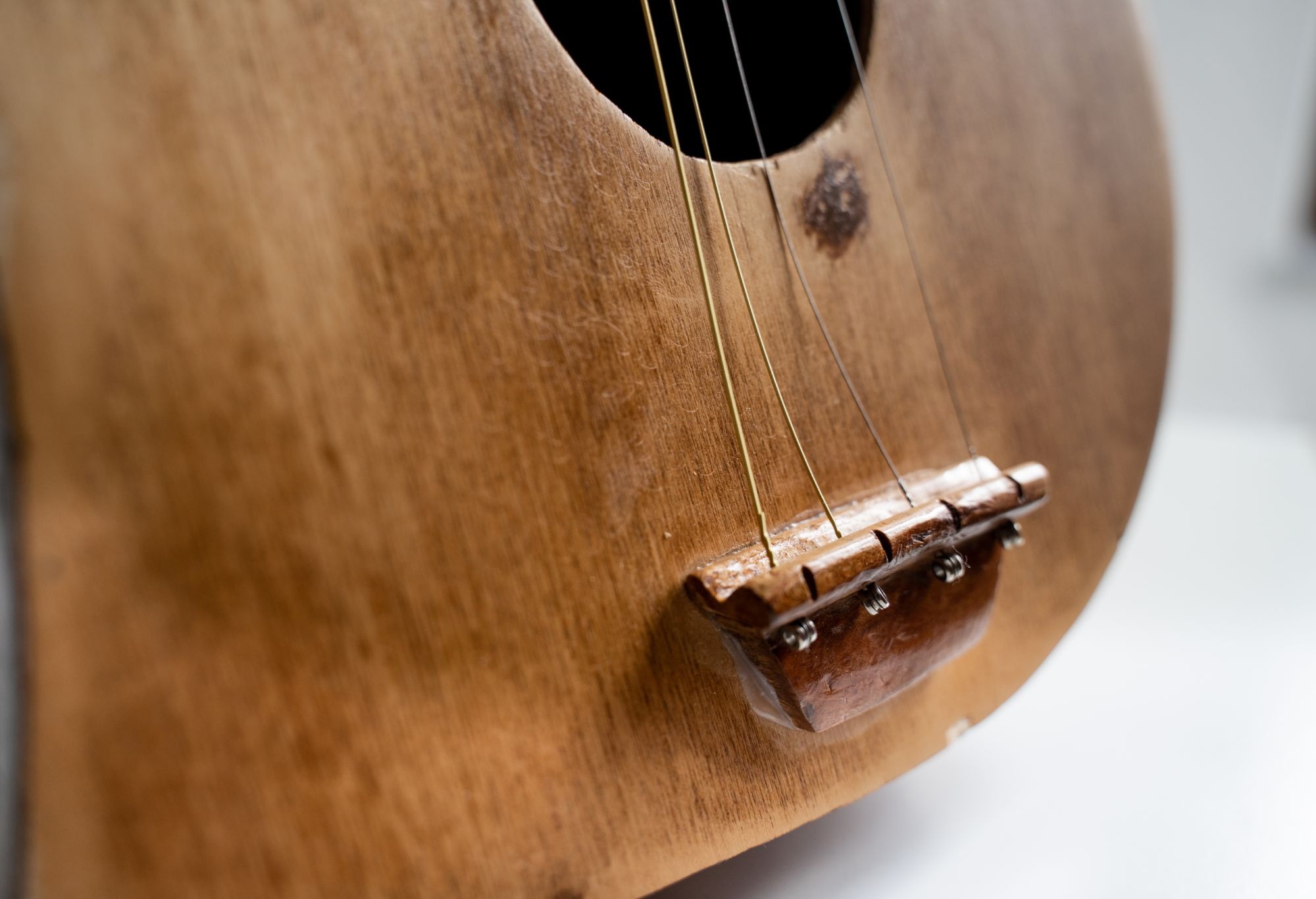Particolare del mandolino - arpa